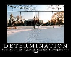 determination