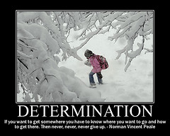 determination