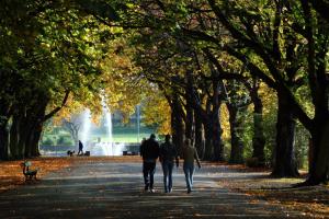 people walking